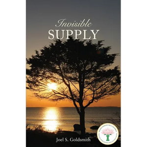 Invisible Supply - Paperback