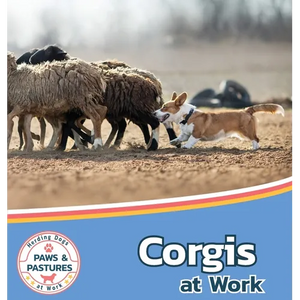 Corgis at Work - Hardcover