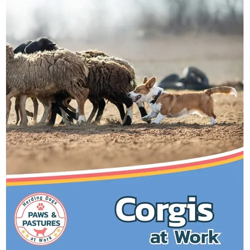 Corgis at Work - Hardcover