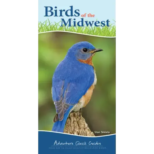 Birds of the Midwest: Identify Backyard Birds with Ease - Spiral