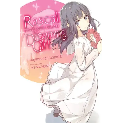 Rascal Does Not Dream of a Dreaming Girl (Light Novel) - Paperback
