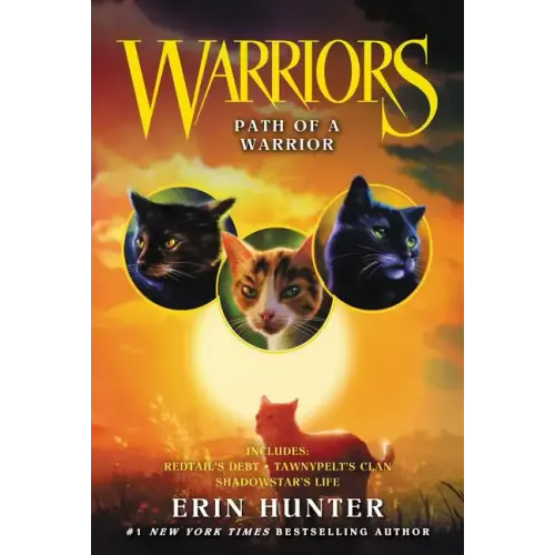 Path of a Warrior - Paperback