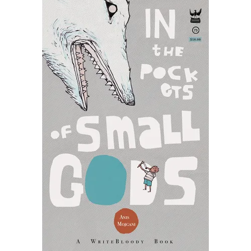 In the Pockets of Small Gods - Paperback