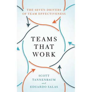 Teams That Work: The Seven Drivers of Team Effectiveness - Hardcover