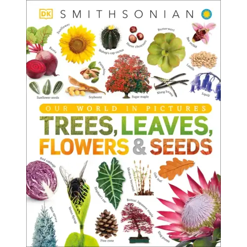 Trees, Leaves, Flowers and Seeds: A Visual Encyclopedia of the Plant Kingdom - Hardcover