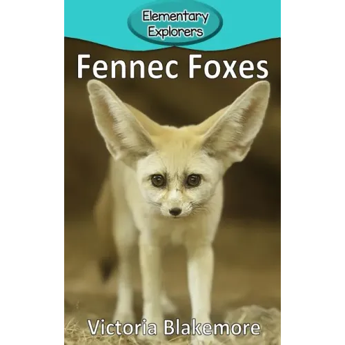Fennec Foxes - Hardcover