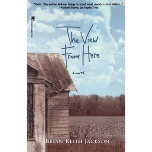 The View from Here - Paperback
