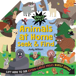 Animals at Home Seek & Find - Hardcover
