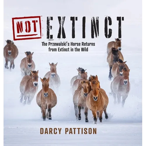 NOT Extinct: The Przewalski's Horse Returns from Extinct in the Wild - Hardcover