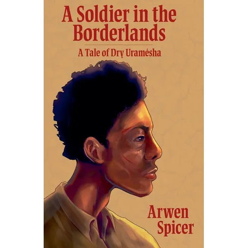 A Soldier in the Borderlands - Paperback
