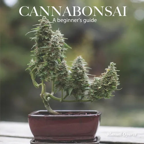 Cannabonsai: A Beginners Guide - Paperback