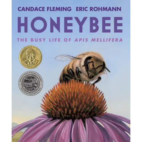 Honeybee: The Busy Life of APIs Mellifera - Paperback