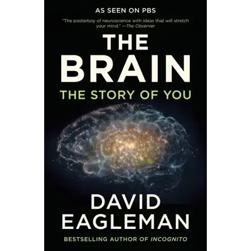 The Brain: The Story of You - Paperback
