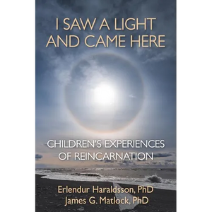 I Saw A Light And Came Here: Children's Experiences of Reincarnation - Paperback