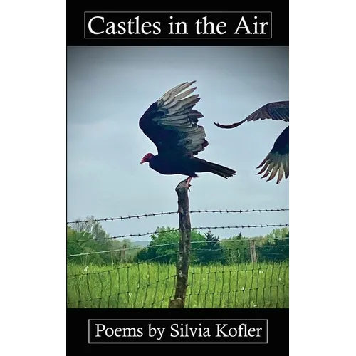 Castles in the Air - Paperback