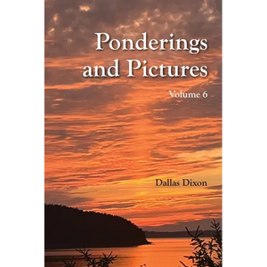Pictures and Ponderings Vol. 6 - Paperback