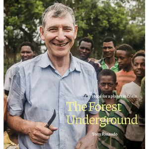 The Forest Underground: Hope for a Planet in Crisis - Hardcover