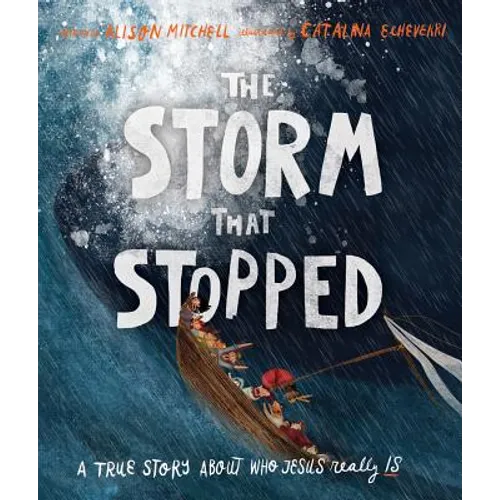 The Storm That Stopped Storybook: A True Story about Who Jesus Really Is