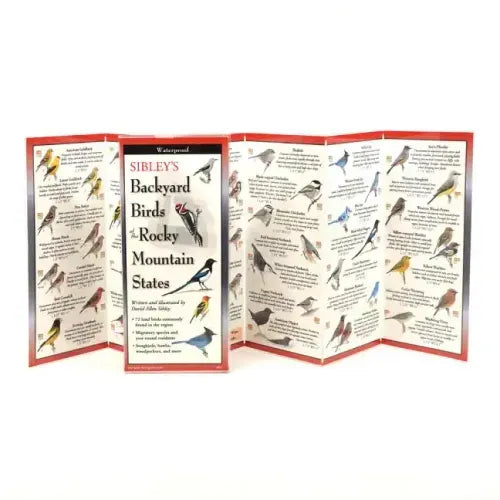 Sibley's Back. Birds of Rocky Mountain States