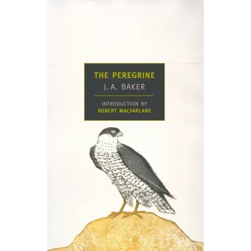 The Peregrine - Paperback