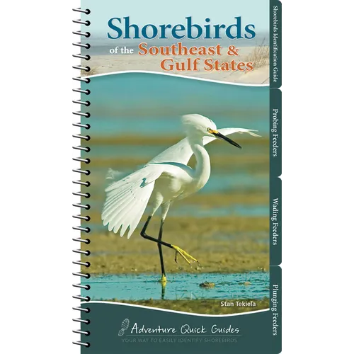 Shorebirds of the Southeast & Gulf States: Your Way to Easily Identify Shorebirds - Spiral