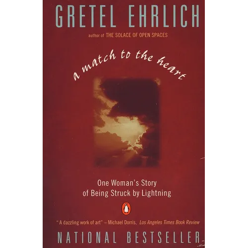 A Match to the Heart: One Woman's Story of Being Struck By Lightning - Paperback