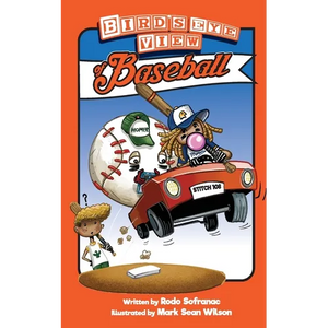 Birds Eye View of Baseball - Paperback