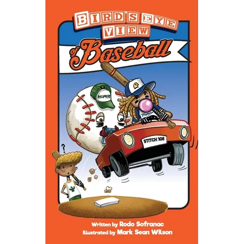 Birds Eye View of Baseball - Paperback