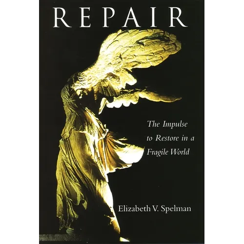 Repair: The Impulse to Restore in a Fragile World - Paperback