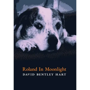 Roland in Moonlight - Hardcover