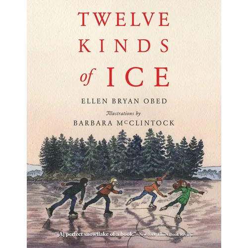 Twelve Kinds of Ice - Paperback