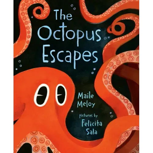 The Octopus Escapes - Hardcover
