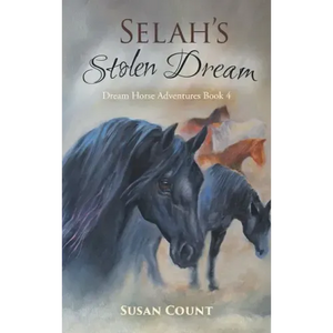 Selah's Stolen Dream - Hardcover