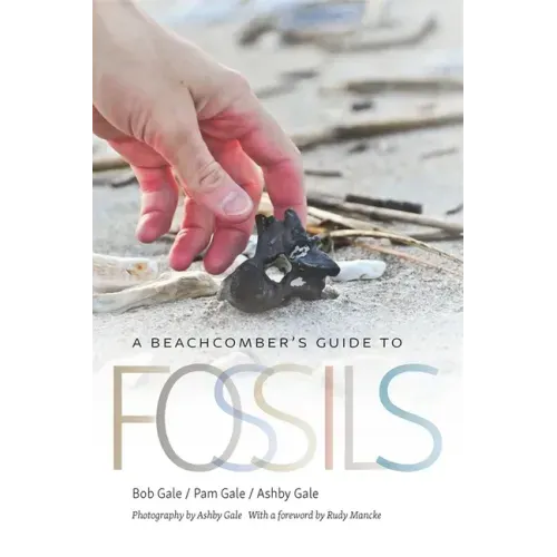 A Beachcomber's Guide to Fossils - Paperback