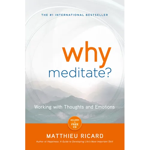 Why Meditate? - Paperback