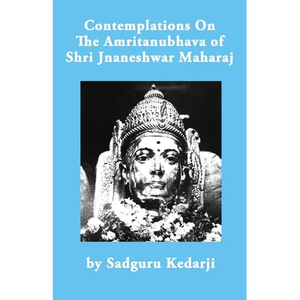 Contemplations On The Amritanubhava of Shri Jnaneshwar Maharaj - Paperback