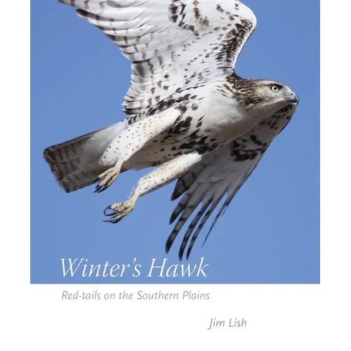 Winter's Hawk: Red-Tails on the Southern Plains - Paperback
