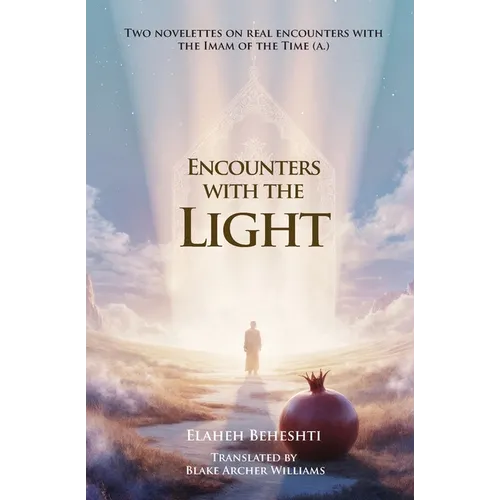 Encounters with the light - Paperback
