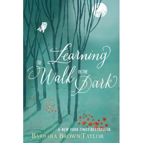 Learning to Walk in the Dark: Because Sometimes God Shows Up at Night - Paperback