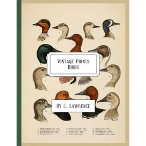Vintage Prints: Birds - Paperback