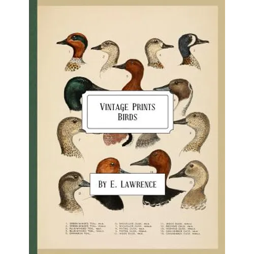 Vintage Prints: Birds - Paperback