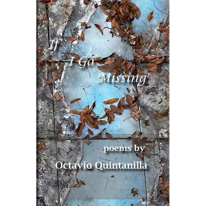 If I Go Missing - Paperback