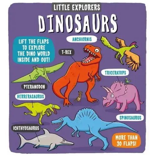Little Explorers: Dinosaurs - Hardcover