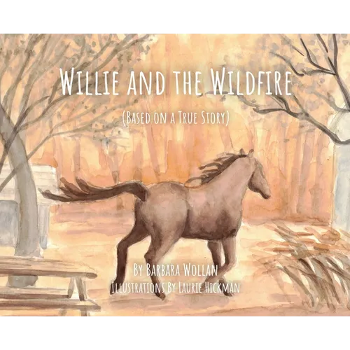 Willie and the Wildfire - Hardcover