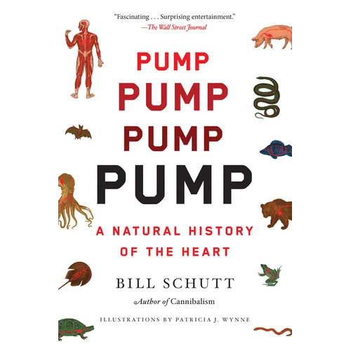 Pump: A Natural History of the Heart - Paperback