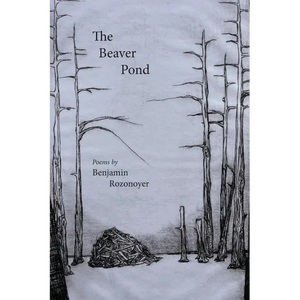 The Beaver Pond - Paperback