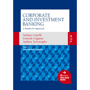Corporate and Investment Banking: A Hands-On Approach - Paperback