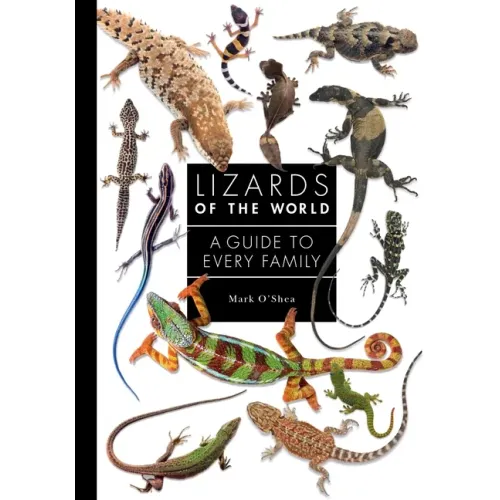 Lizards of the World: A Guide to Every Family - Hardcover