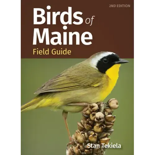 Birds of Maine Field Guide - Paperback