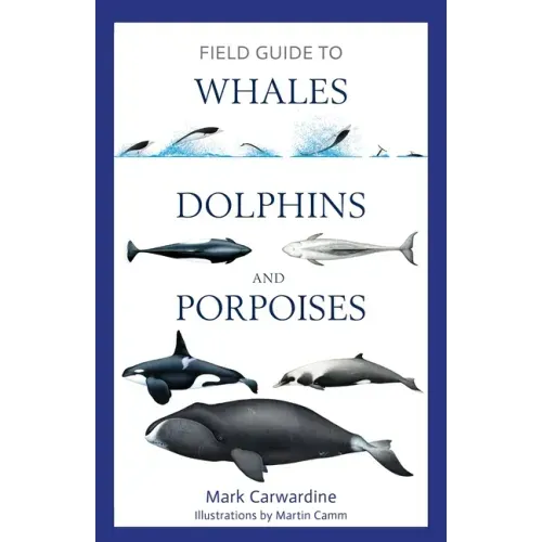 Field Guide to Whales, Dolphins and Porpoises - Paperback